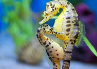 /album/mal-trato-animal/a3605208614-9f2da8a9bb-jpg/